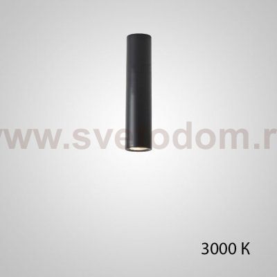 Точечный светильник PAN H20 Black 3000 К ImperiumLoft 212624-23