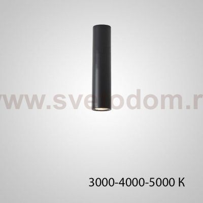 Точечный светильник PAN H20 Black Трехцветный свет ImperiumLoft 212625-23