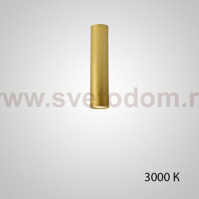 Точечный светильник PAN H20 Gold 3000 К ImperiumLoft 212629-23