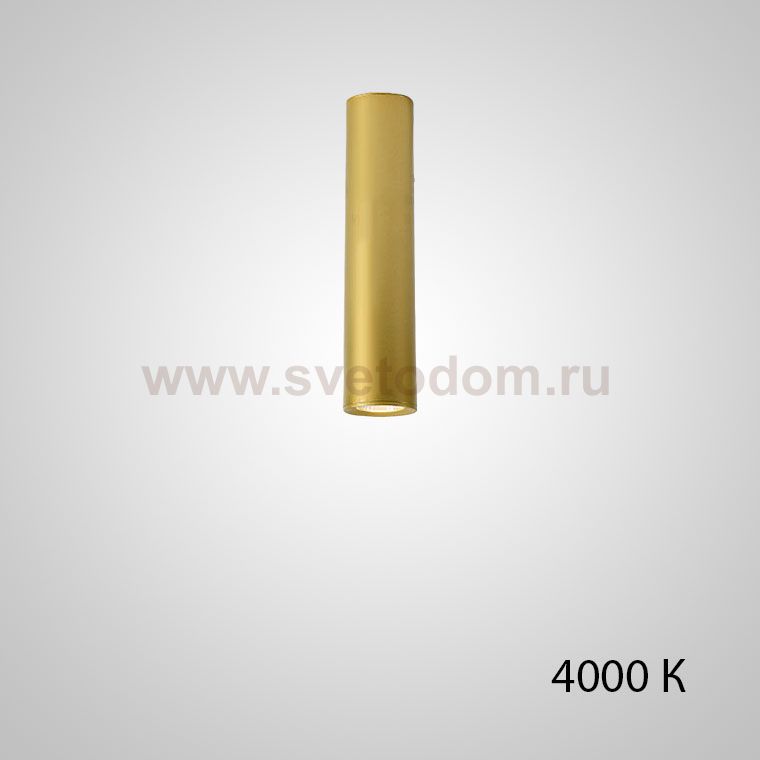 Точечный светильник PAN H20 Gold 4000 К ImperiumLoft 212630-23
