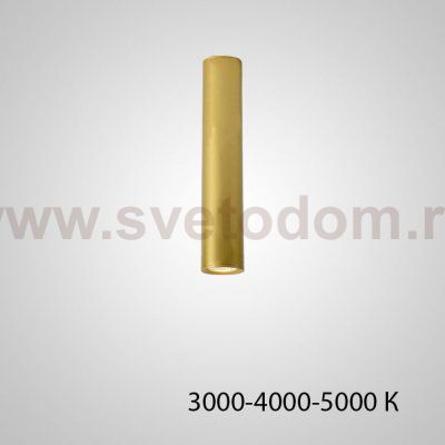 Точечный светильник PAN H30 Gold Трехцветный свет ImperiumLoft 212632-23