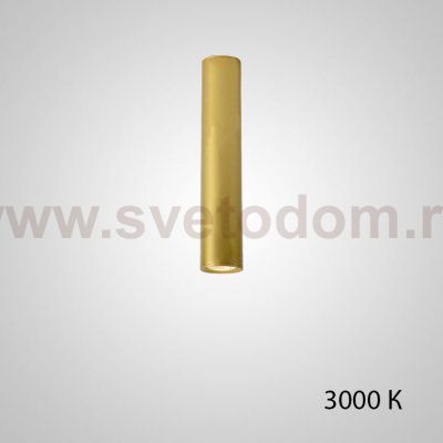 Точечный светильник PAN H30 Gold 3000 К ImperiumLoft 212633-23