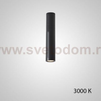 Точечный светильник PAN H30 Black 3000 К ImperiumLoft 212639-23