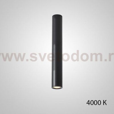 Точечный светильник PAN H50 Black 4000 К ImperiumLoft 212642-23