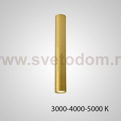 Точечный светильник PAN H50 Gold Трехцветный свет ImperiumLoft 212650-23
