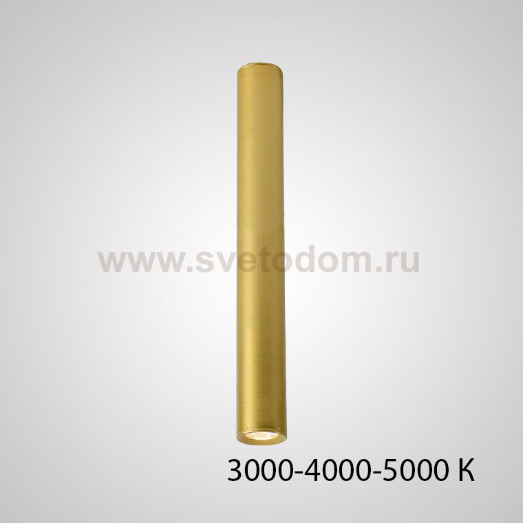 Точечный светильник PAN H80 Gold Трехцветный свет ImperiumLoft 212651-23