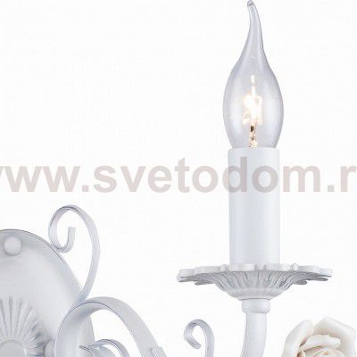 Настенный светильник Favourite 2134-2W Rosetta