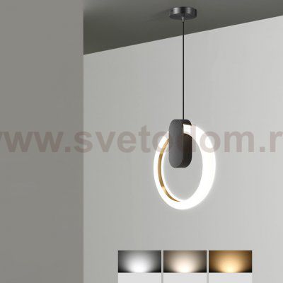 Подвесной светильник GINA D20 Black Трехцветный свет ImperiumLoft 213672-23