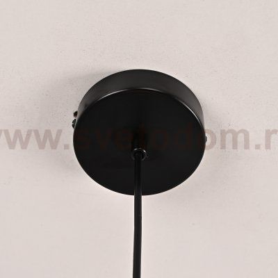 Подвесной светильник HOOP DROP Black ImperiumLoft 213738-26