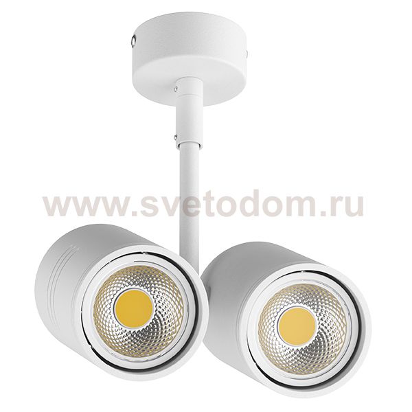 Светильник точечный накладной под заменяемые галогенные или LED лампы Lightstar 214446 Rullo