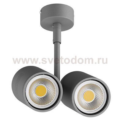 Светильник точечный накладной под заменяемые галогенные или LED лампы Lightstar 214449 Rullo