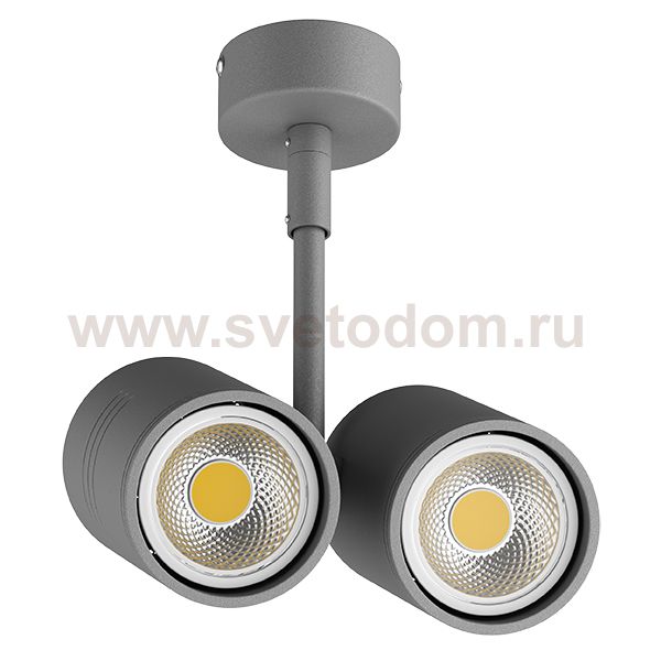 Светильник точечный накладной под заменяемые галогенные или LED лампы Lightstar 214449 Rullo