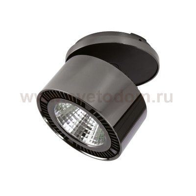 Светильник Lightstar 214808 FORTE