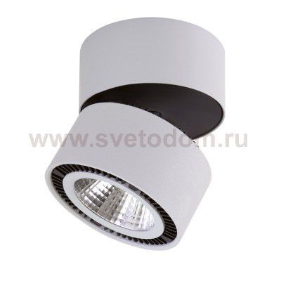 Светильник накладной светодиодный Lightstar 214839 Forte Muro