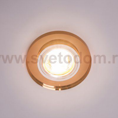 Точечный светильник Экономсвет 215SJB TEA