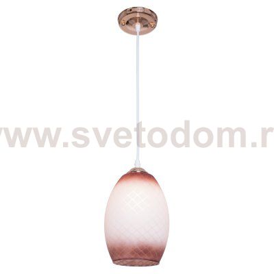 Подвесной светильник Экономсвет 2165/1FGD
