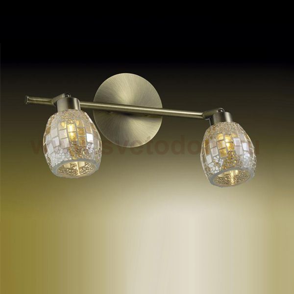 Светильник поворотный спот Odeon light 2166/2W GLOSSE