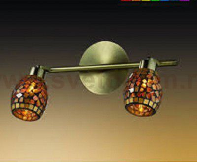 Светильник поворотный спот Odeon light 2167/2W GLOSSE