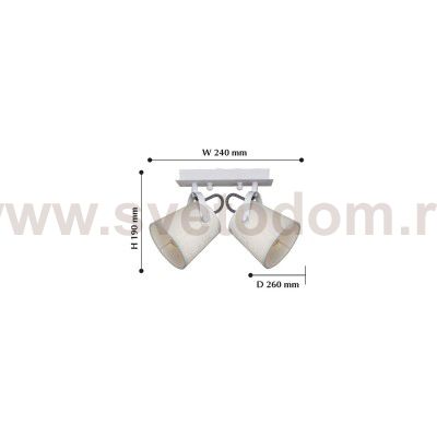 Потолочный светильник Favourite 2176-2U Munich