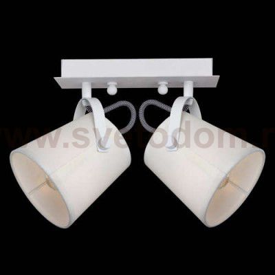 Потолочный светильник Favourite 2176-2U Munich