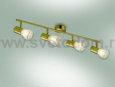 Светильник поворотный спот Odeon light 2176/4W MOSS