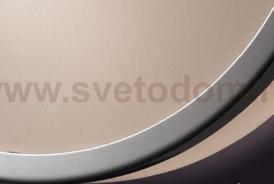 Настенно - потолочный светильник Odeon light 2177/2C YUN