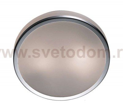 Настенно - потолочный светильник Odeon light 2177/2C YUN