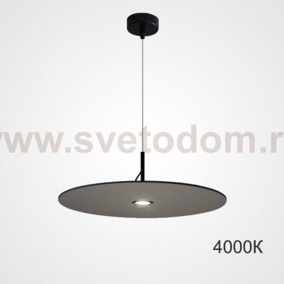 Подвесной светильник EUREKA D25 Black 4000К ImperiumLoft 219284-23