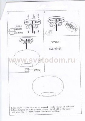 Светильник потолочный Odeon light 2205/2C PATI