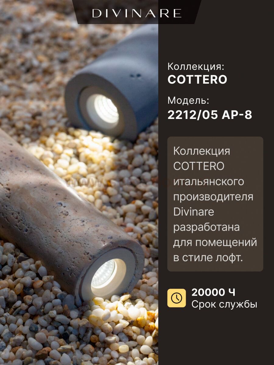 Настенный светильник Divinare COTTERO 2212/05 AP-8
