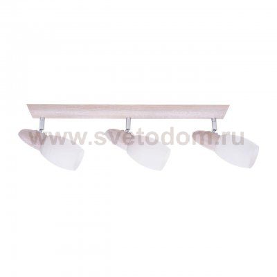 Спот Spot Light Juliana 2217332