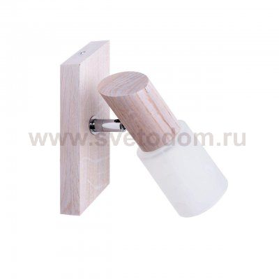 Спот Spot Light Birgit 2222132