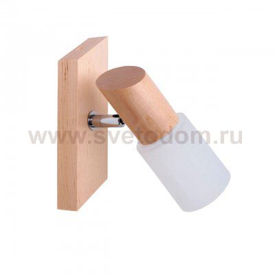 Спот Spot Light Birgit 2222160