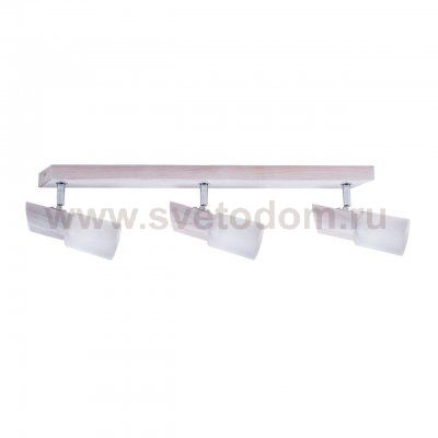 Спот Spot Light Birgit 2222332