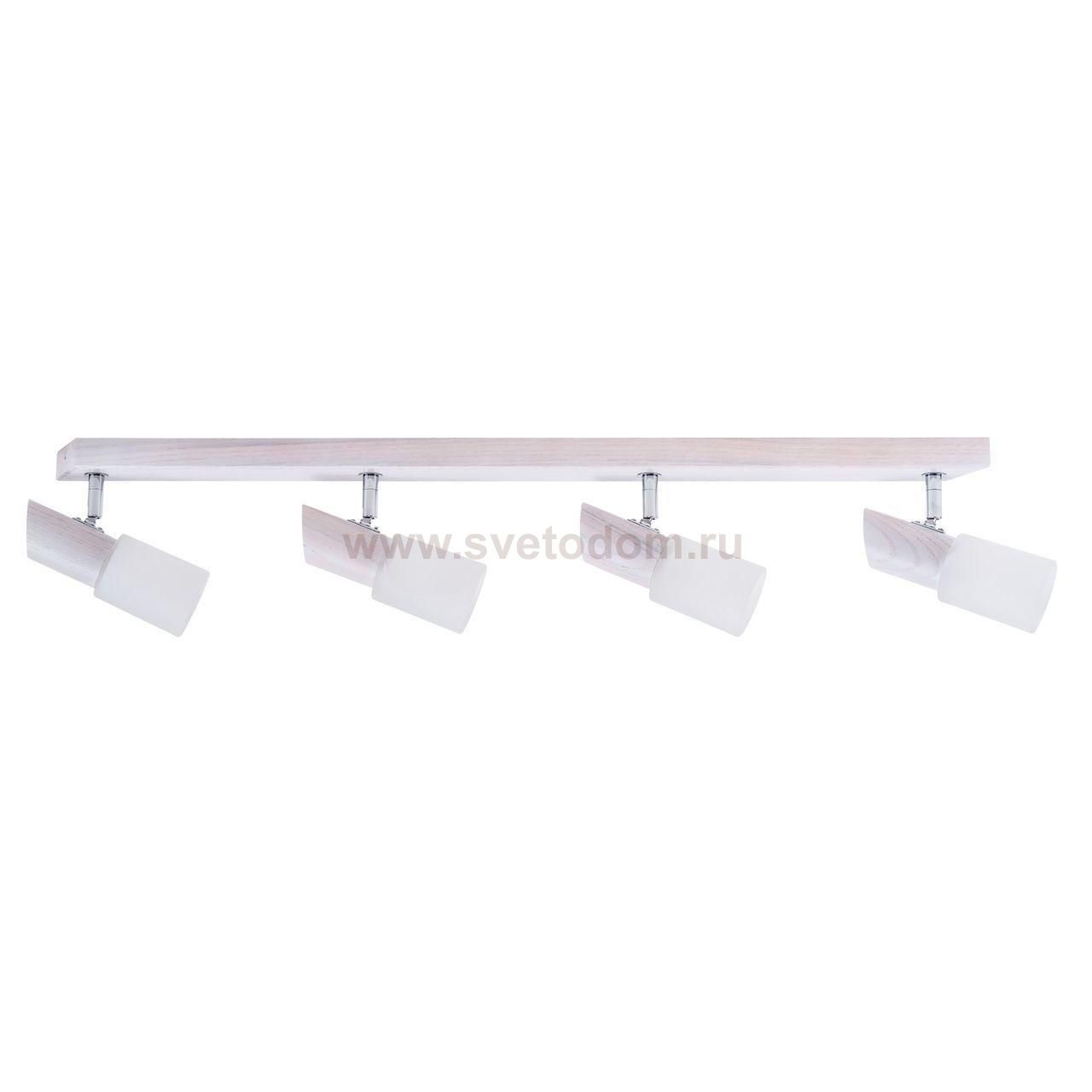 Спот Spot Light Birgit 2222432