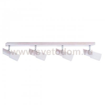 Спот Spot Light Birgit 2222432