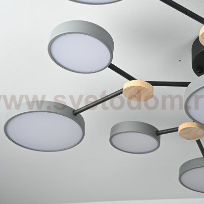 Потолочная люстра GAMMA D102 Grey ImperiumLoft 223767-23