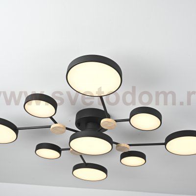 Потолочная люстра GAMMA D98 Black ImperiumLoft 223769-23
