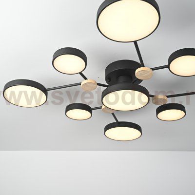 Потолочная люстра GAMMA D98 Black ImperiumLoft 223769-23