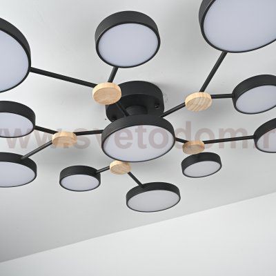 Потолочная люстра GAMMA D102 Black ImperiumLoft 223770-23