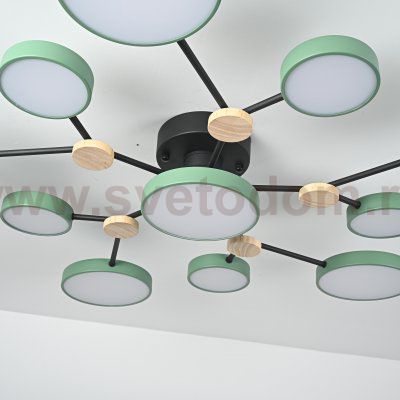 Потолочная люстра GAMMA D102 Green ImperiumLoft 223773-23
