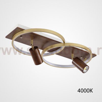 Потолочный светильник DIDRIKA L55 Dark Brown 4000К ImperiumLoft 223841-23