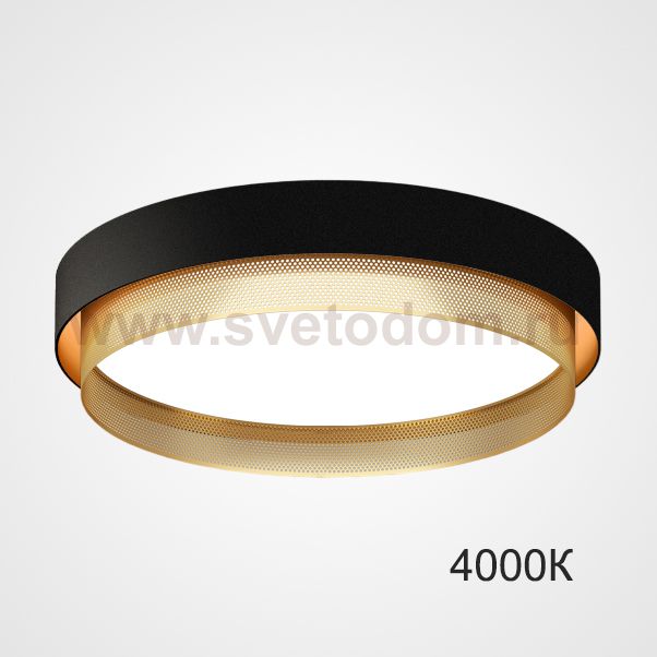 Потолочный светильник MALIA D55 Black Brass 4000К ImperiumLoft 223855-23