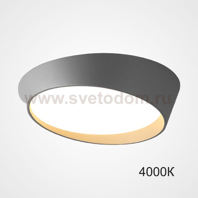 Потолочный светильник TORONTO D40 Grey 4000К ImperiumLoft 223861-23