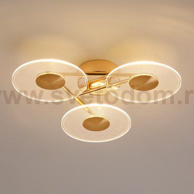 Потолочный светильник LAROY D50 ImperiumLoft 223889-23
