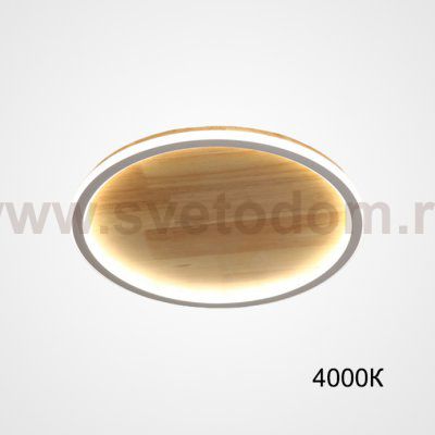 Потолочный светильник DOLAN D20 4000К ImperiumLoft 223945-23