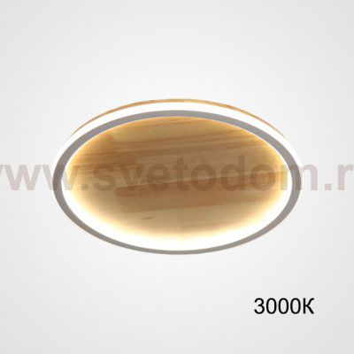 Потолочный светильник DOLAN D30 3000К ImperiumLoft 223949-23