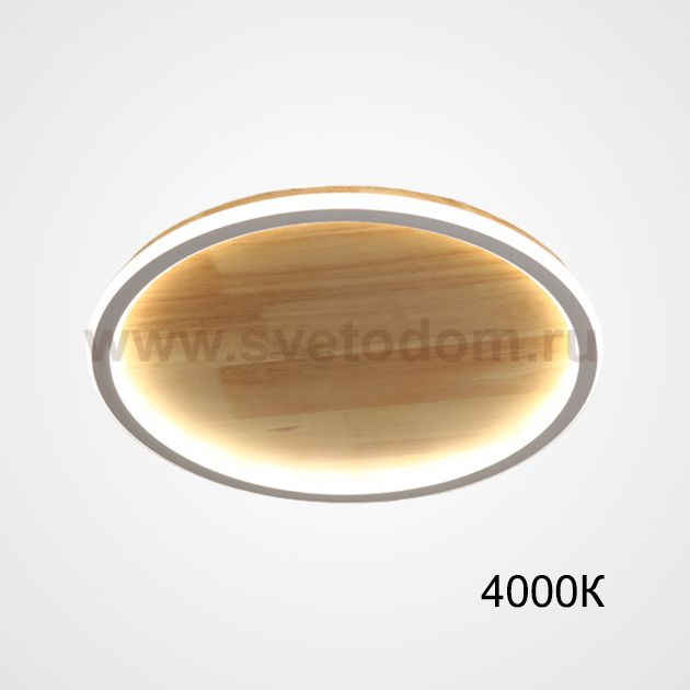 Потолочный светильник DOLAN D40 4000К ImperiumLoft 223951-23