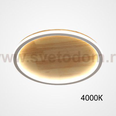 Потолочный светильник DOLAN D50 4000К ImperiumLoft 223954-23