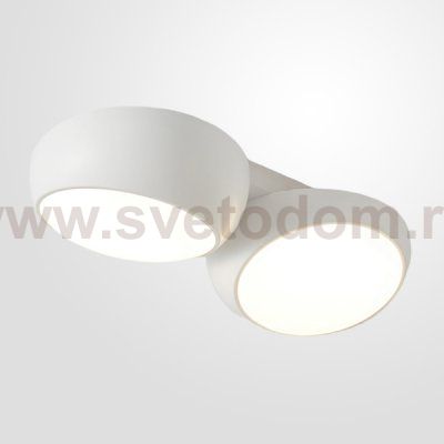 Потолочный светильник DAGA L52 White ImperiumLoft 223969-23